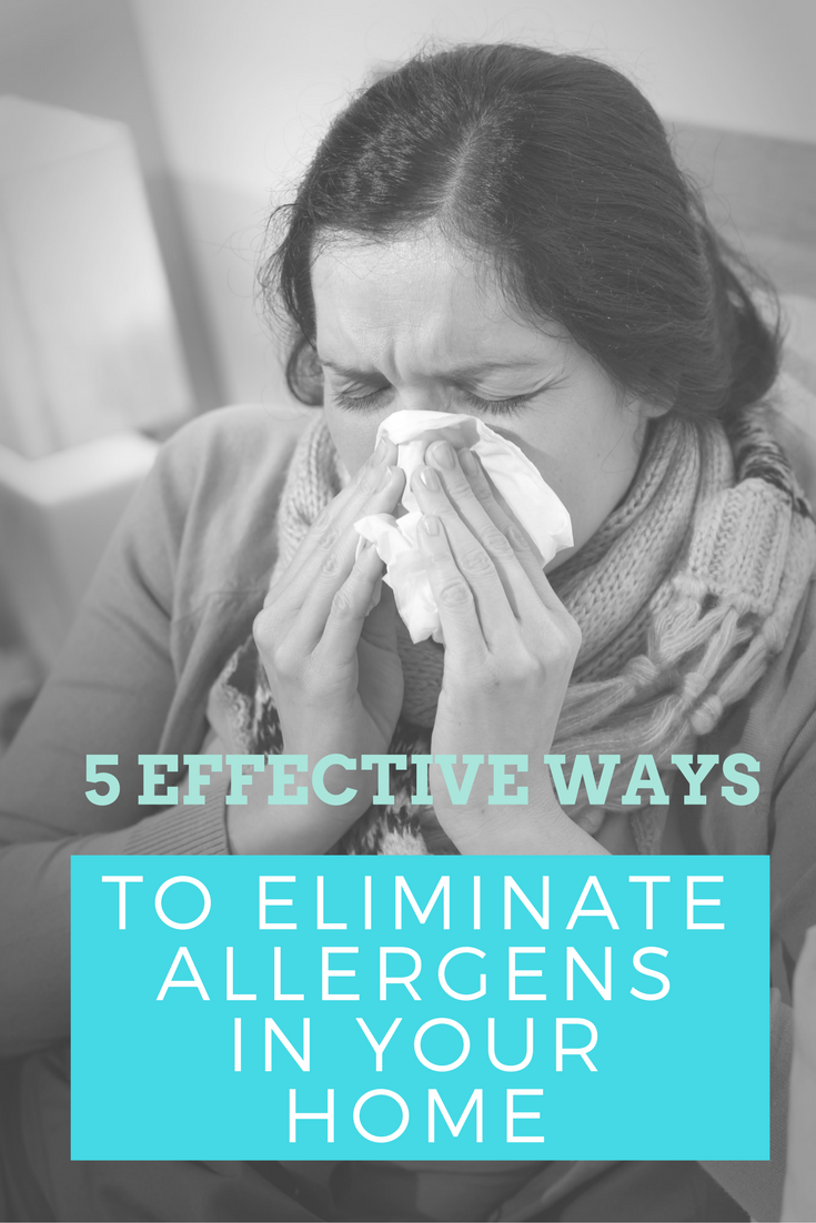 Do you or your family suffer from allergies? Lower your risk with these 5 Effective Ways To Eliminate Allergens In Your Home