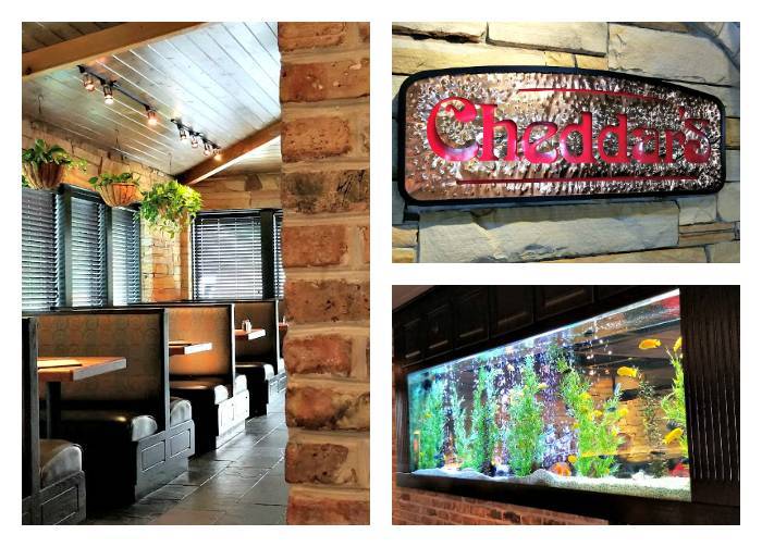 Dive Into Cheddar's Fresh Summer Menu interior